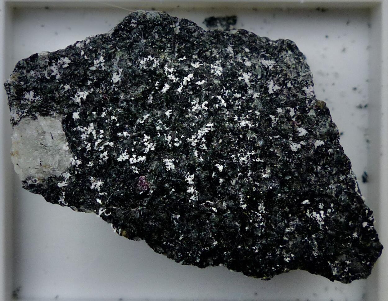 Naujakasite