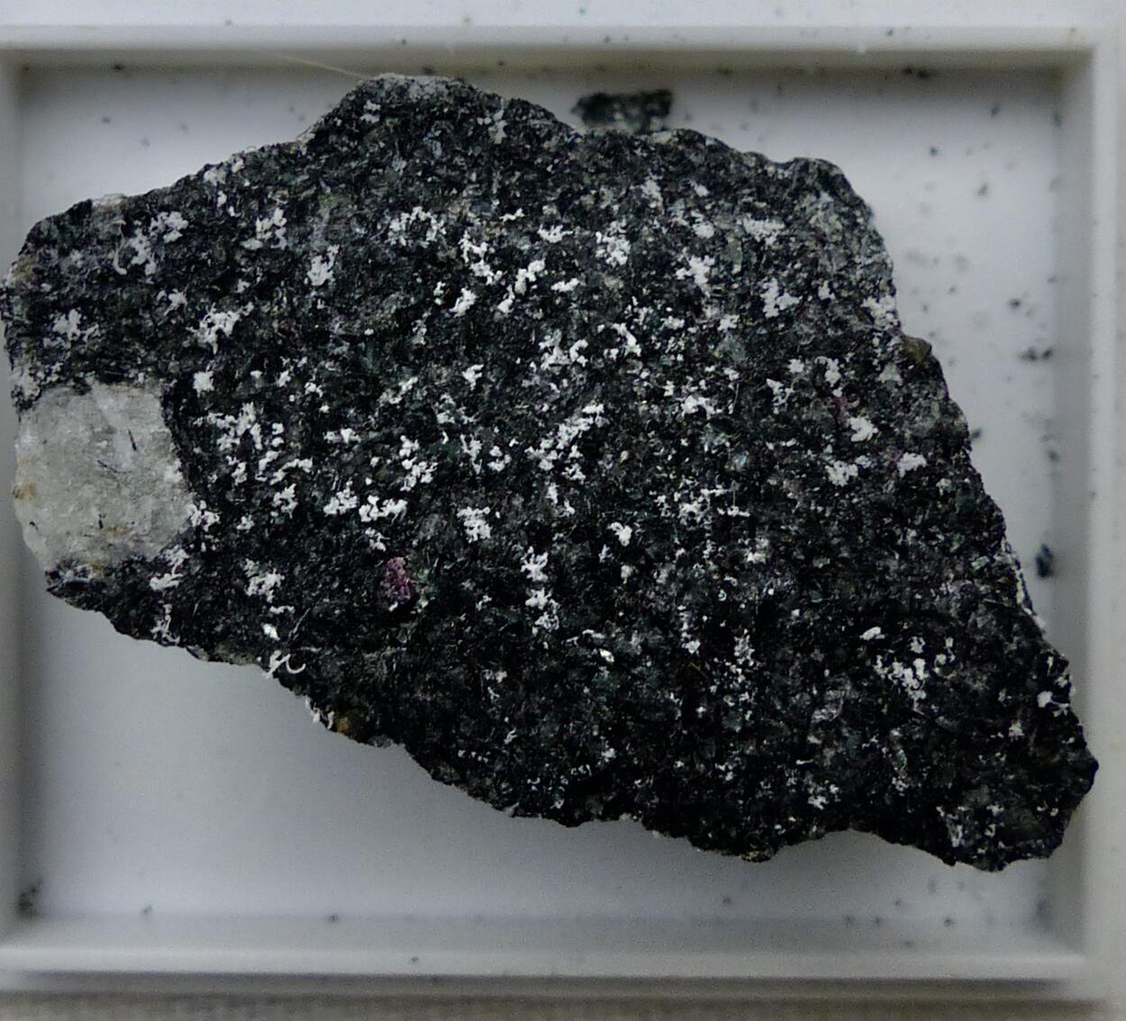 Naujakasite