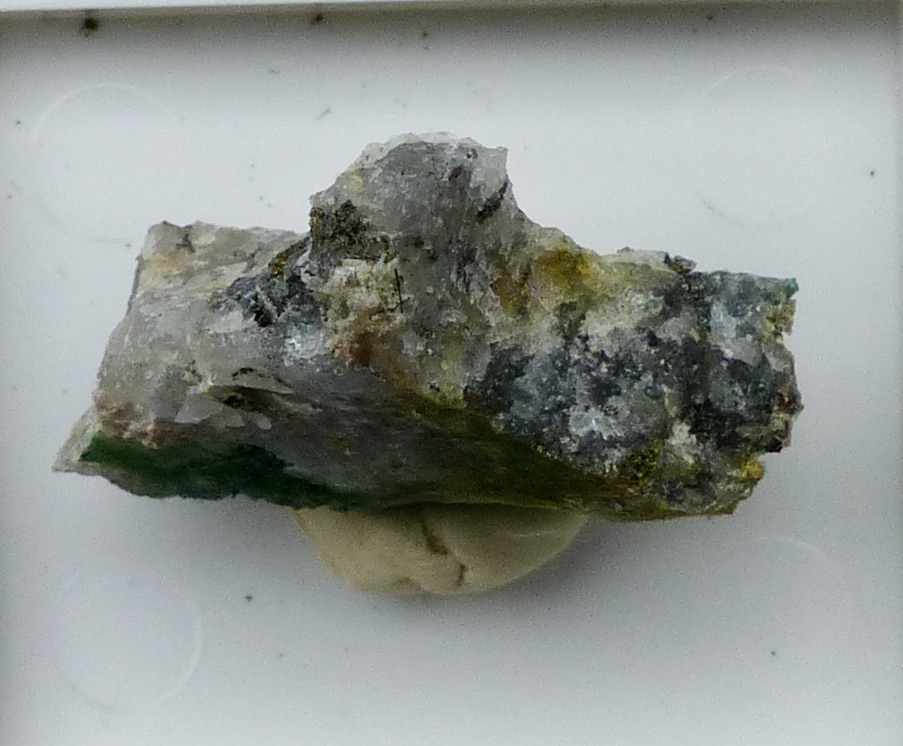 Krupkaite