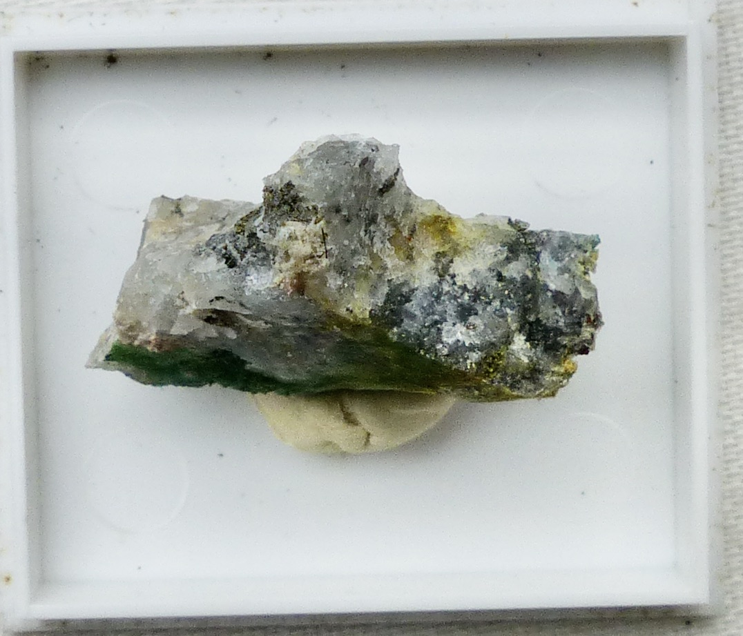 Krupkaite