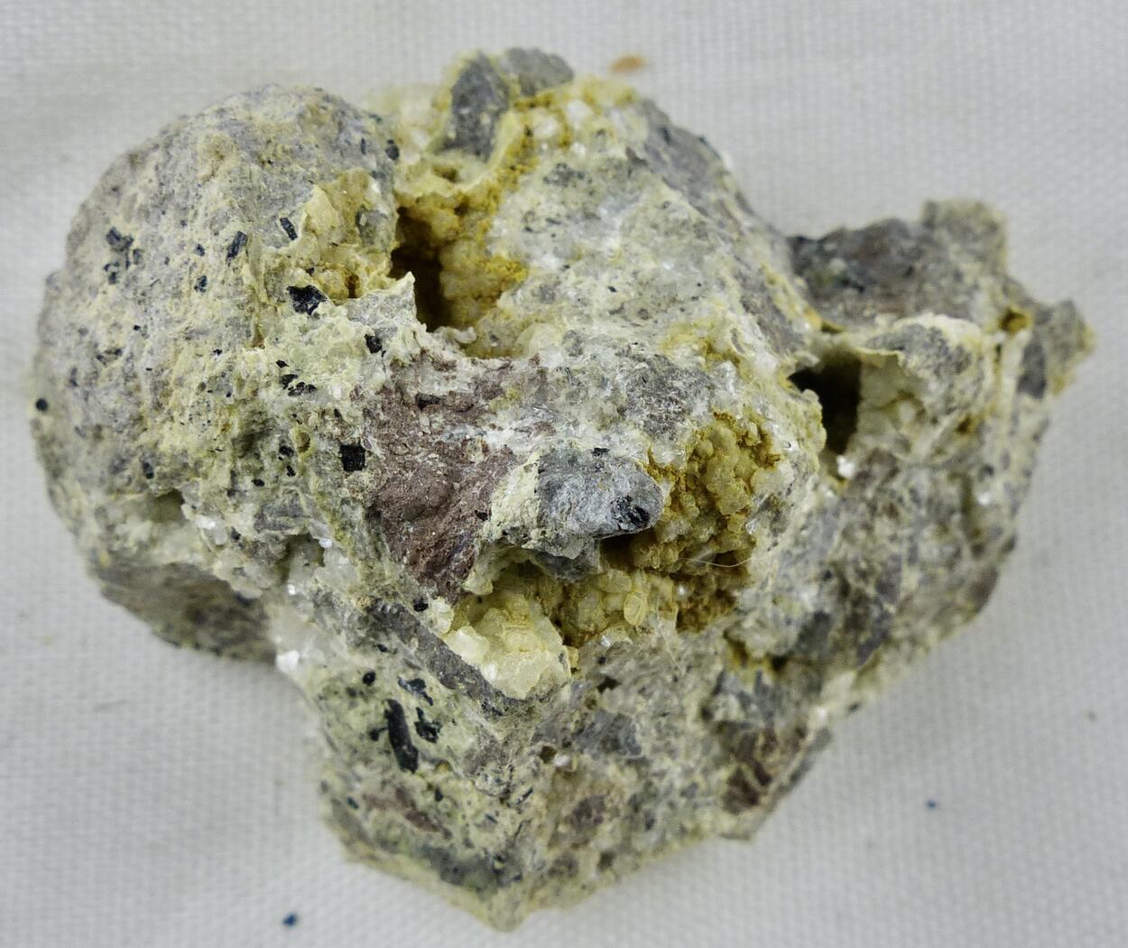 Clinoptilolite-Ca & Ferrierite-Mg
