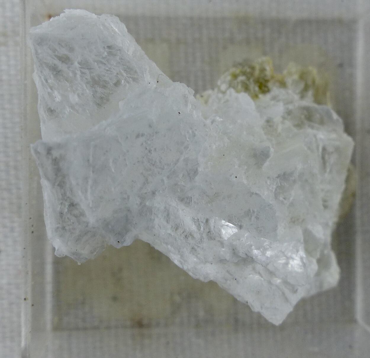 Brucite