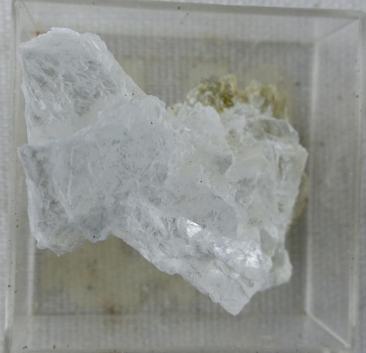 Brucite