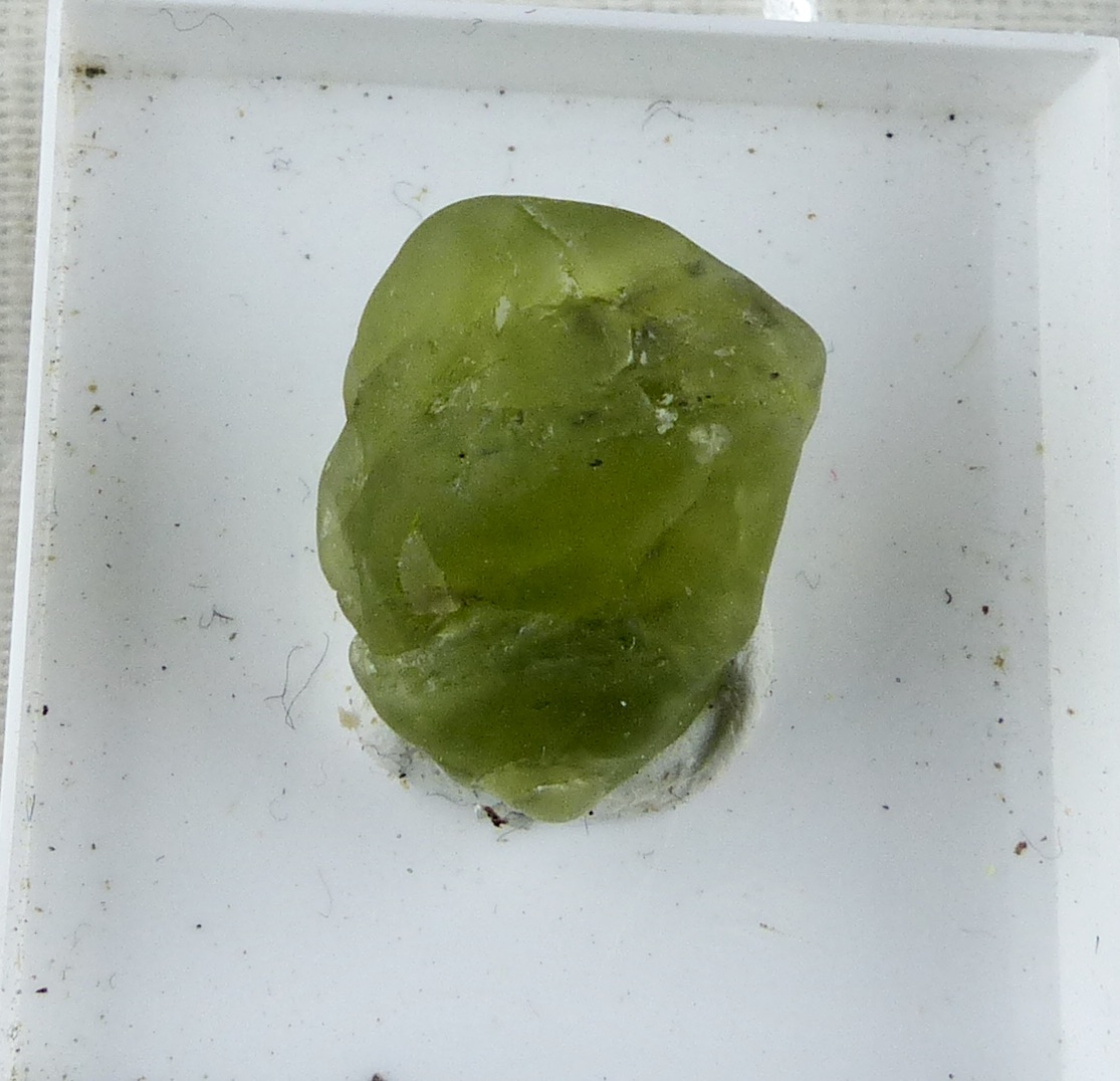 Forsterite