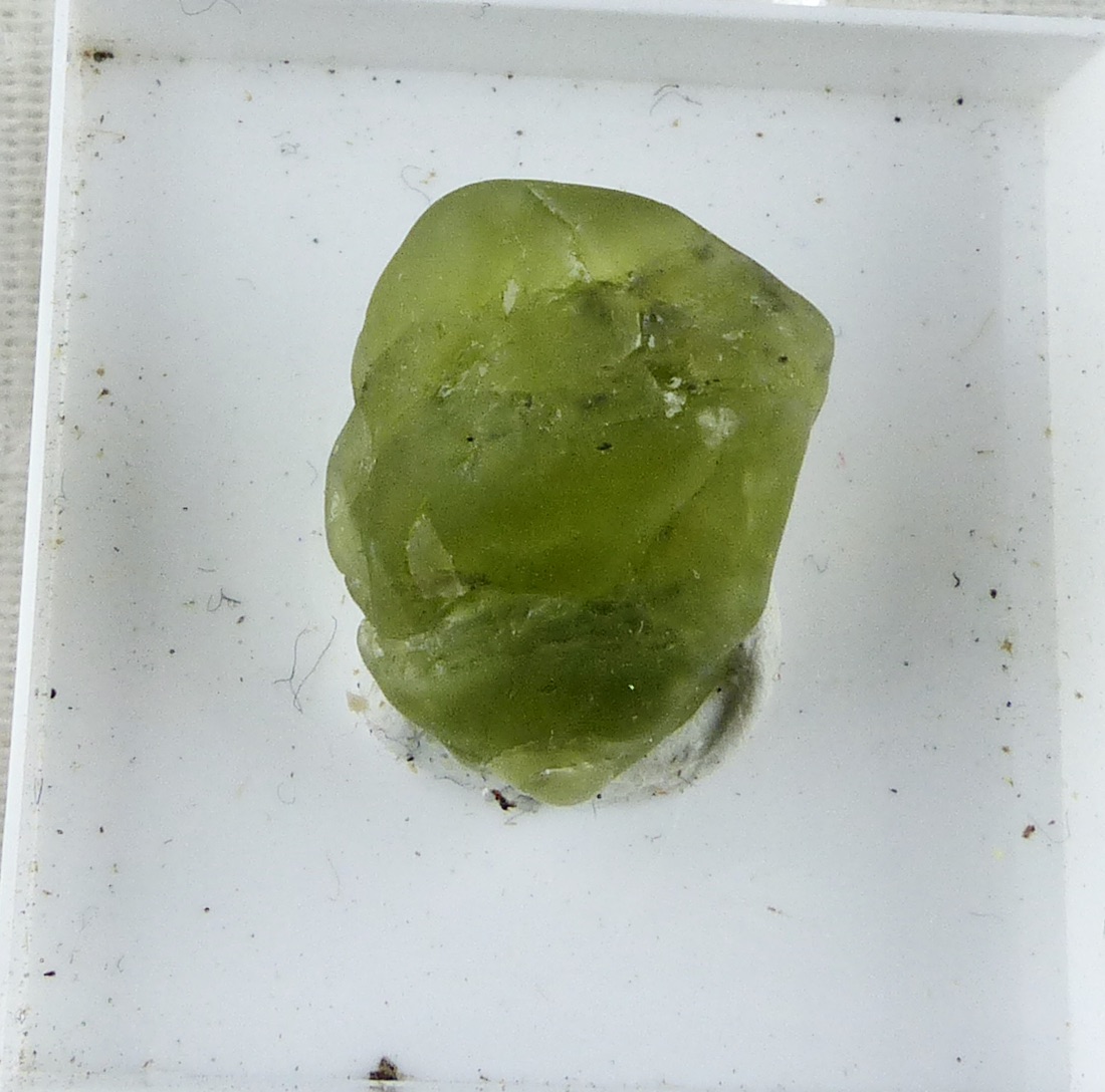 Forsterite
