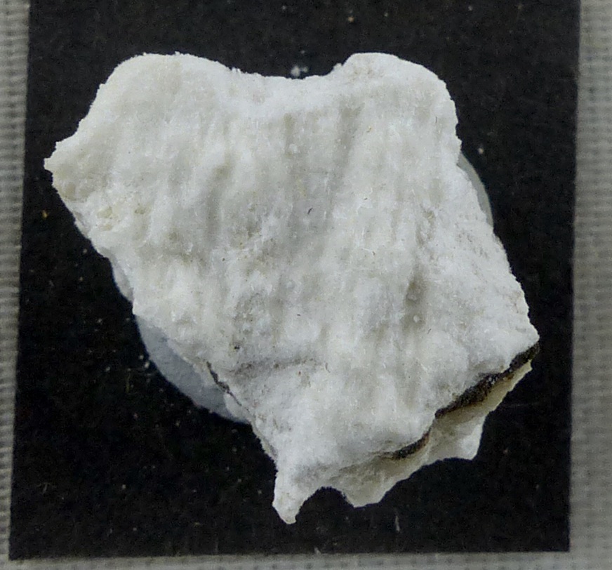 Mordenite