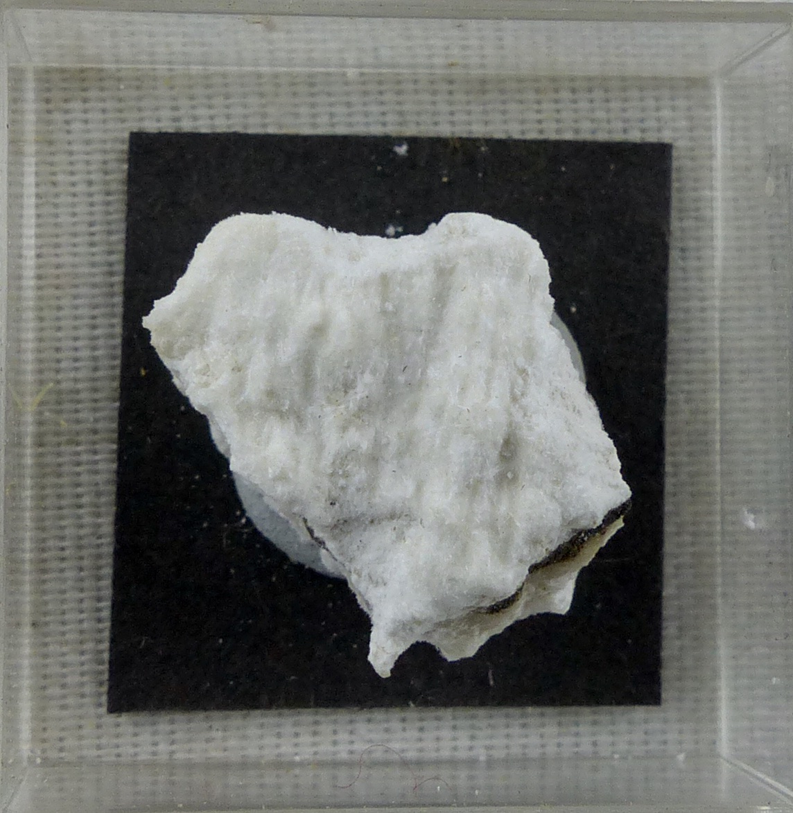 Mordenite
