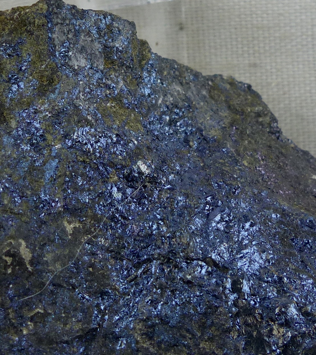 Bornite
