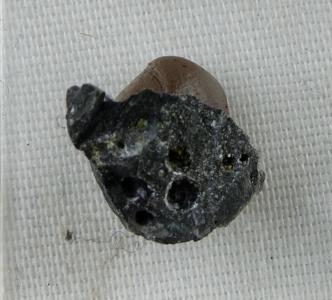 Nealite & Fluorite