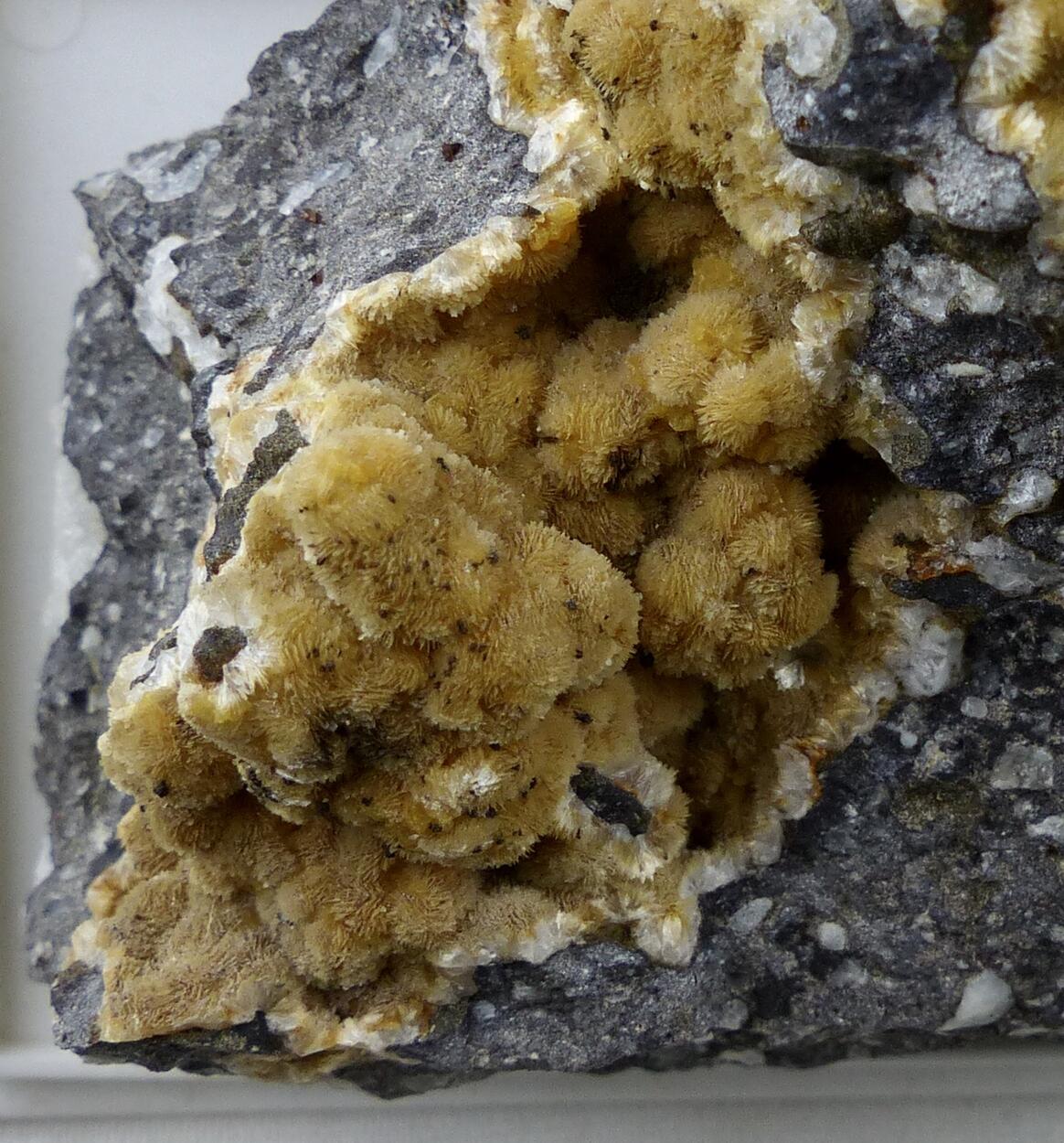Thomsonite