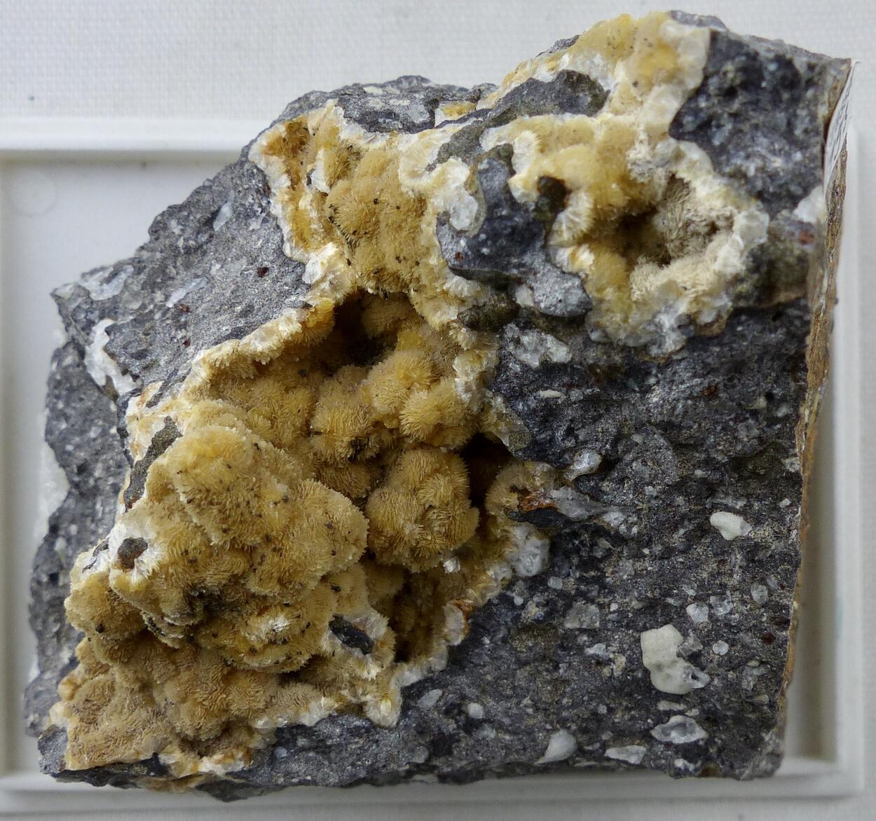 Thomsonite