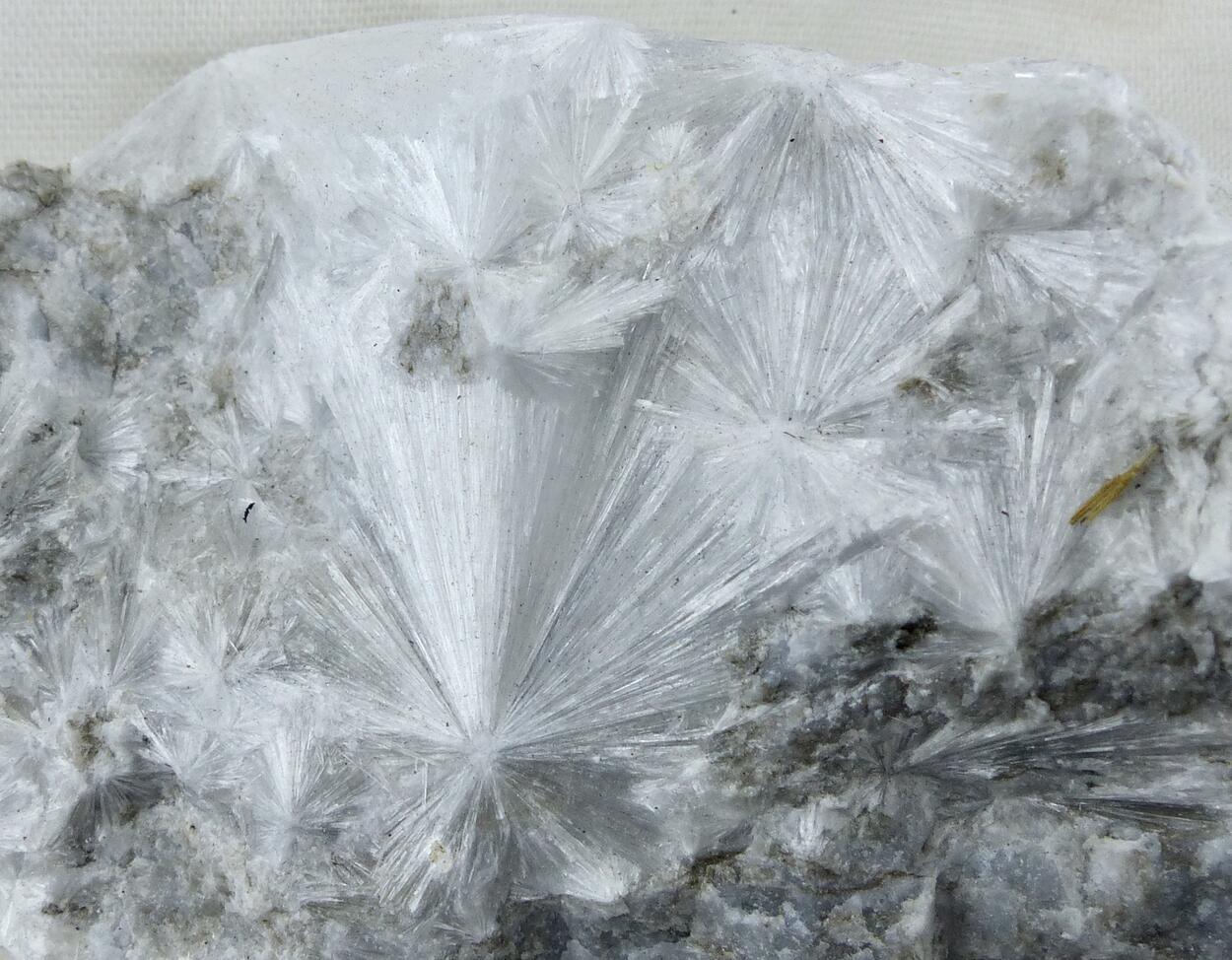 Hydroboracite