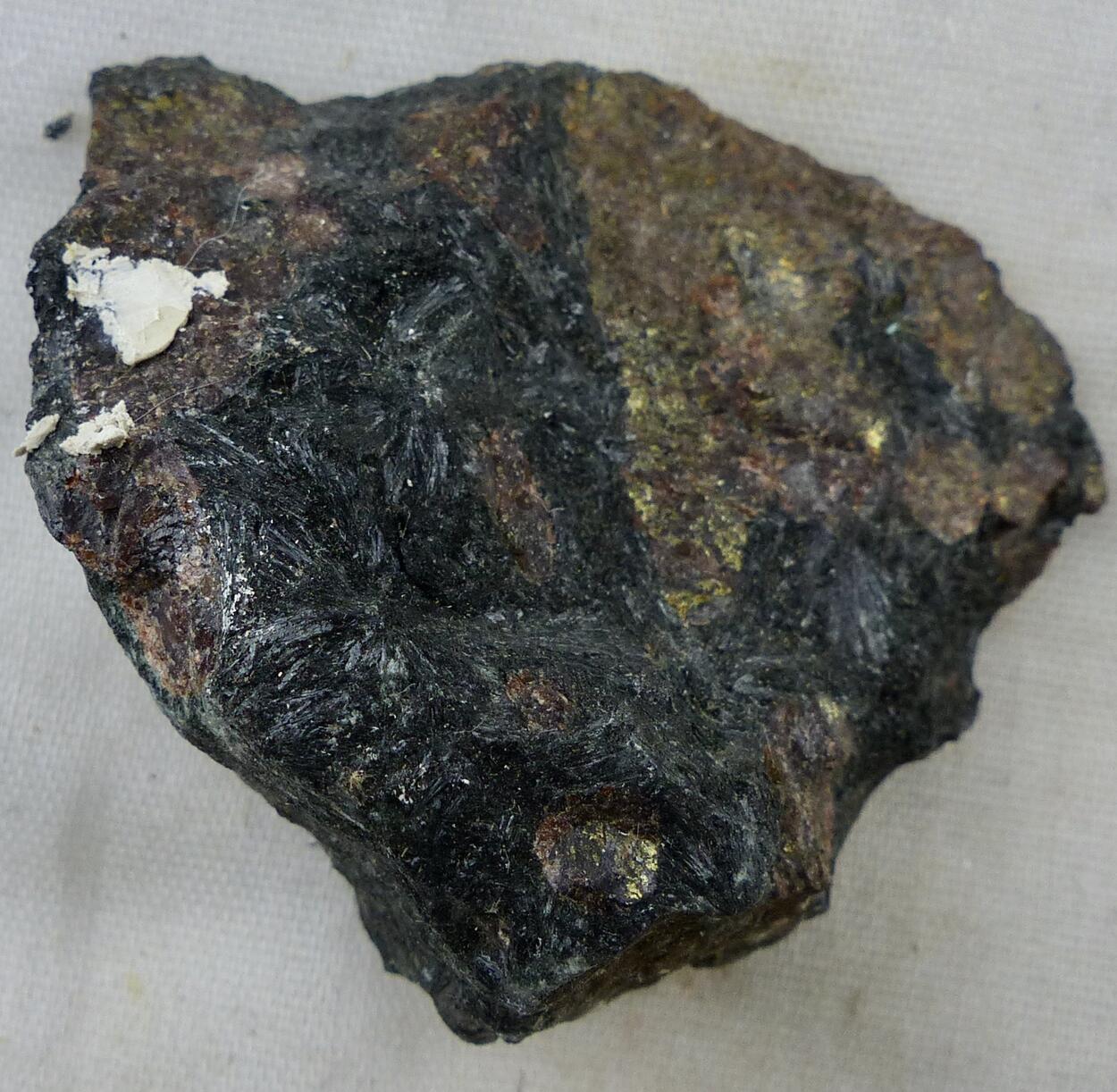 Hornblende & Almandine