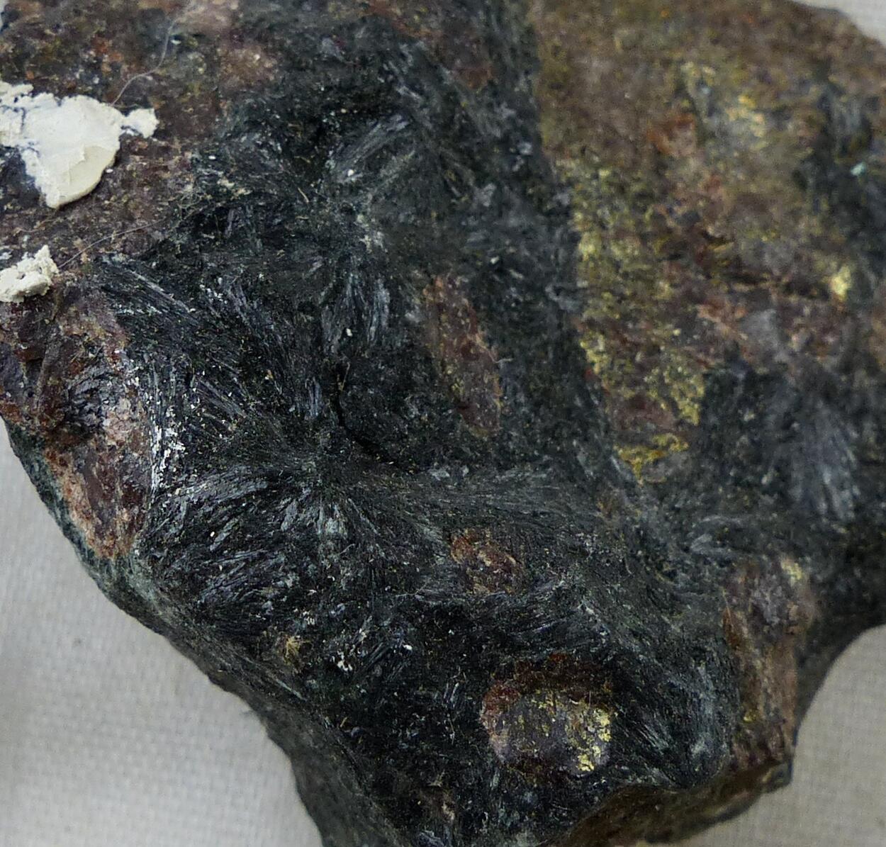 Hornblende & Almandine
