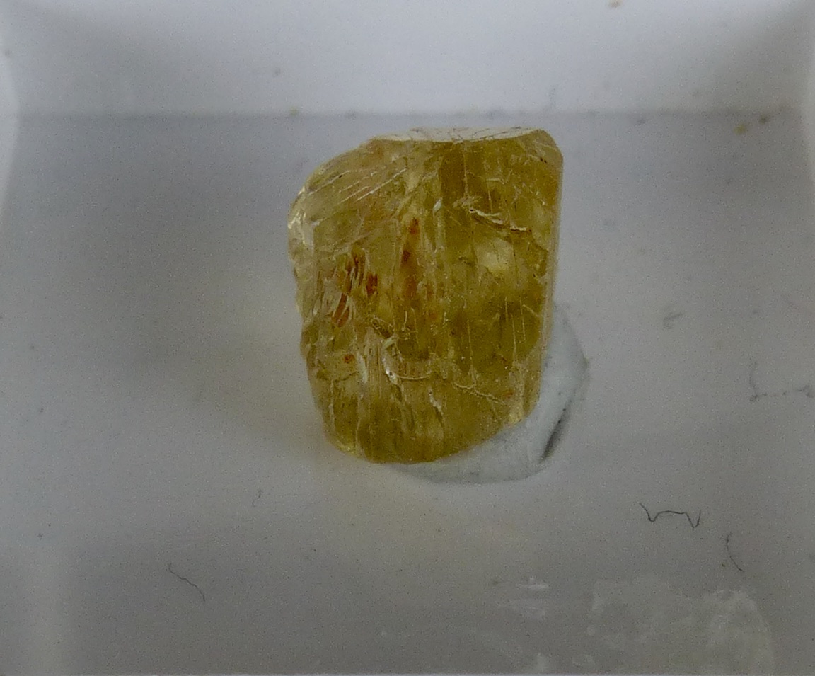 Scapolite