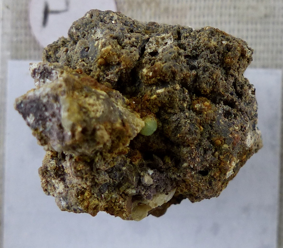 Kolbeckite