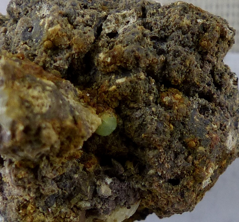 Kolbeckite