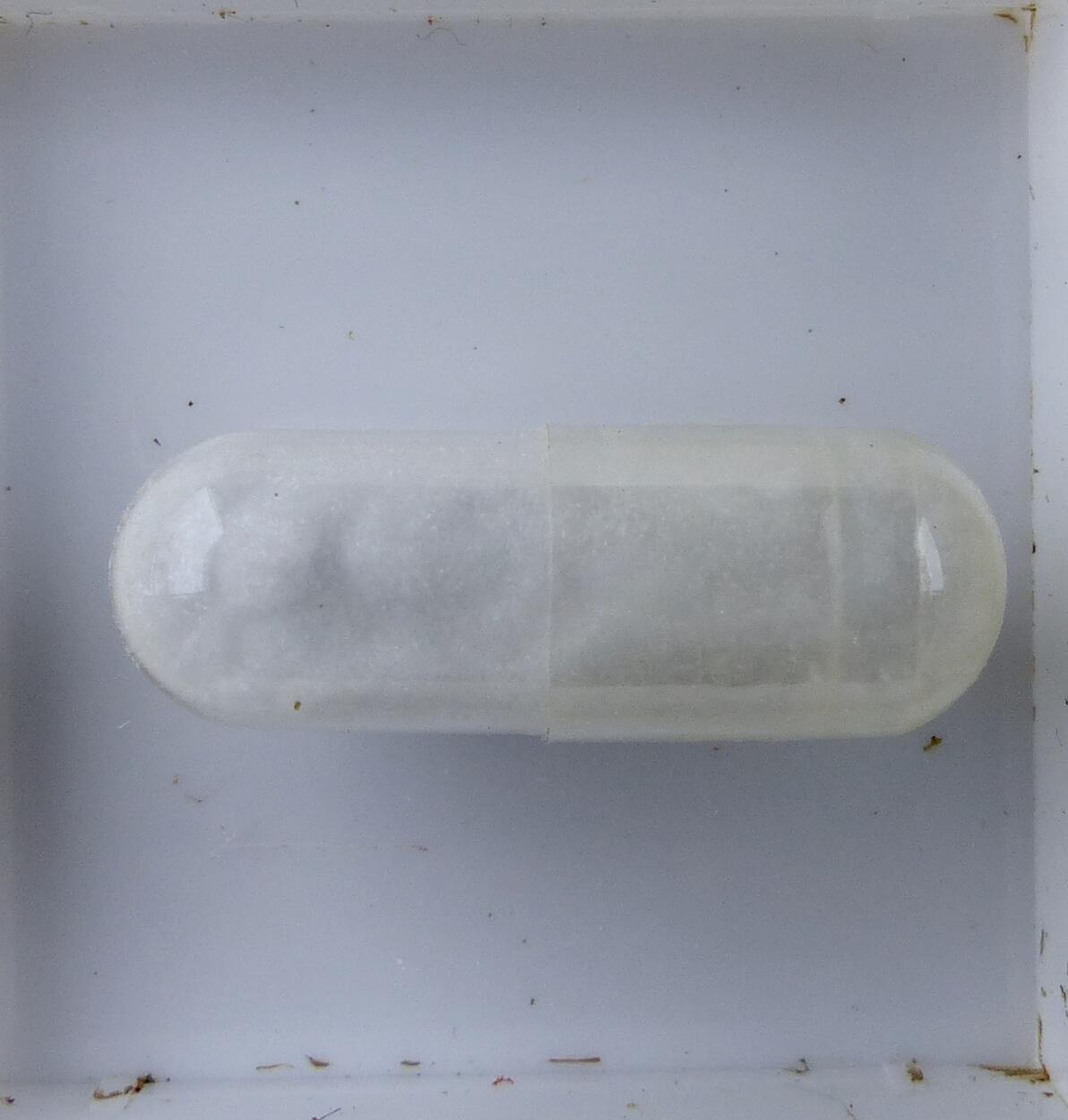 Howlite