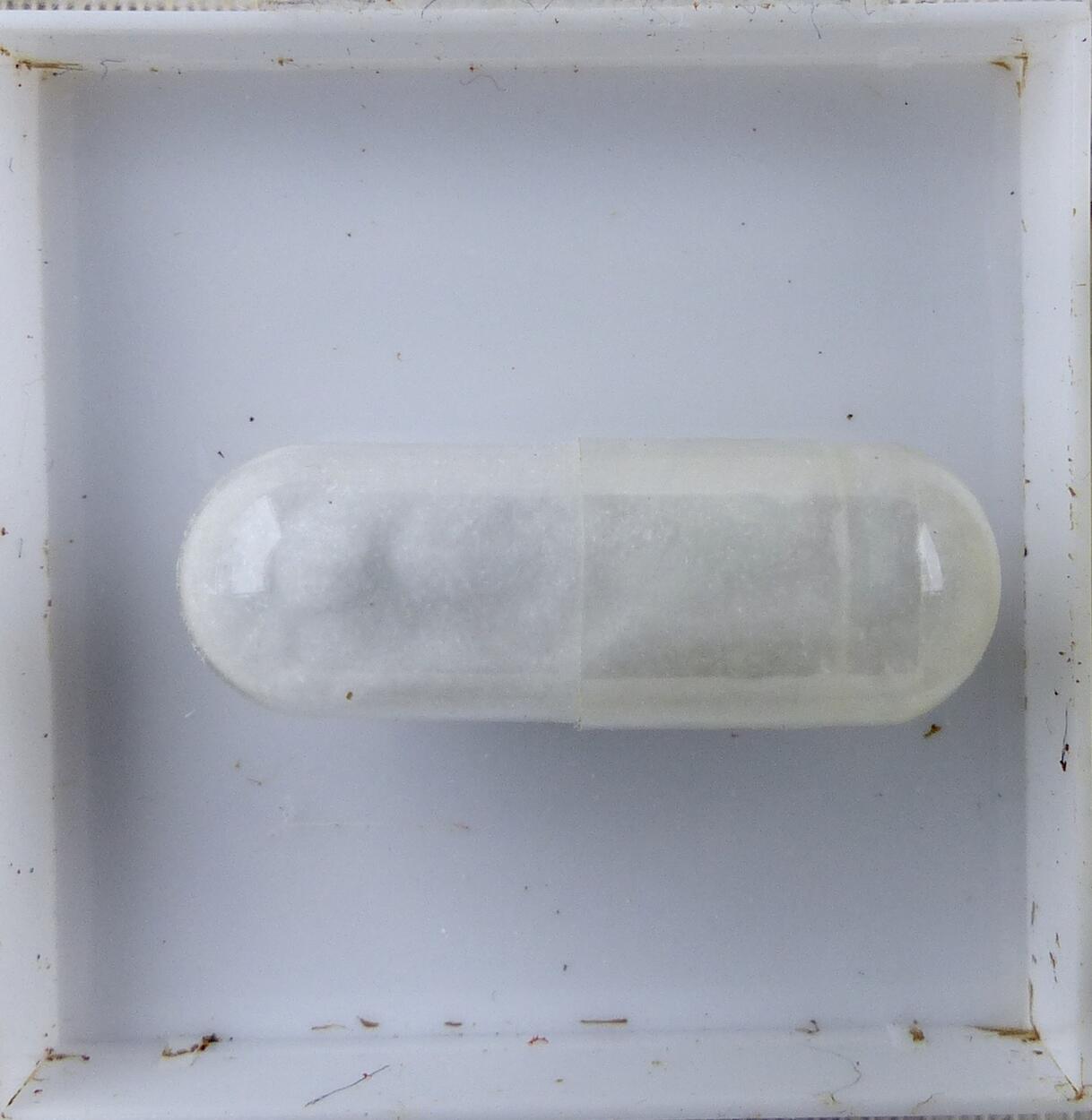 Howlite