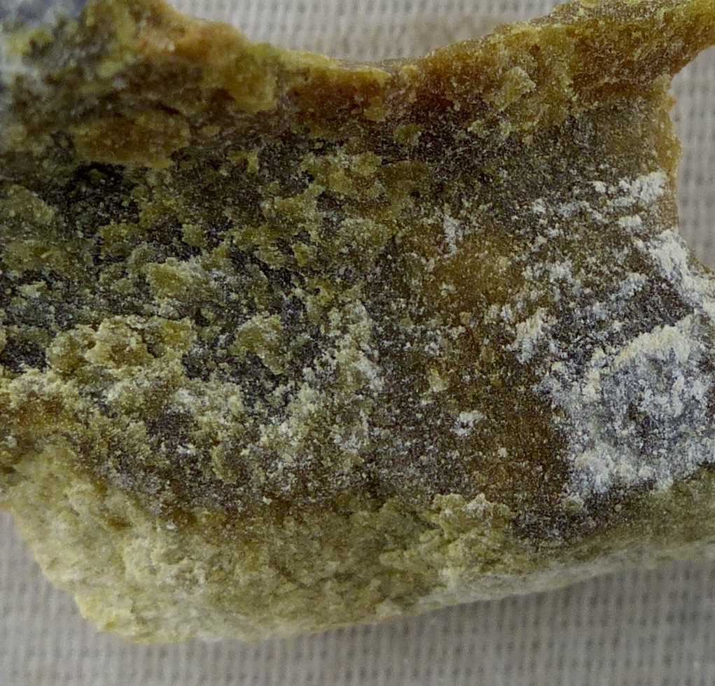 Lizardite