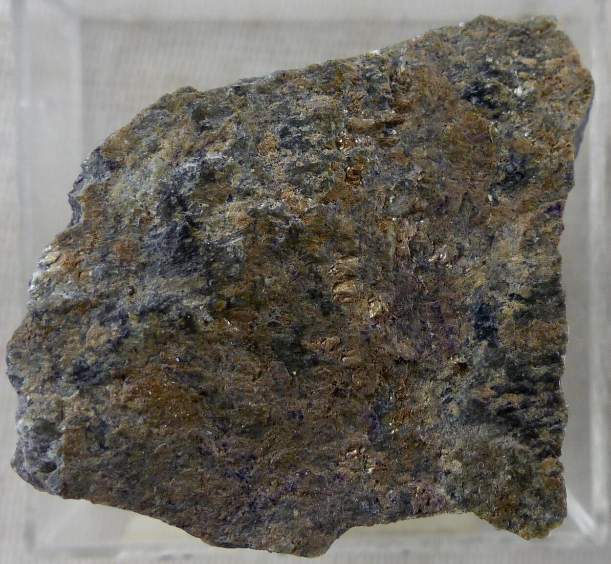 Triploidite