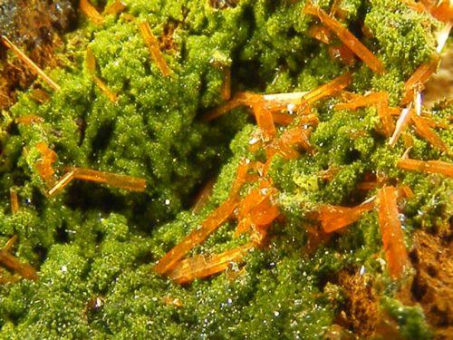 Crocoite With Pyromorphite