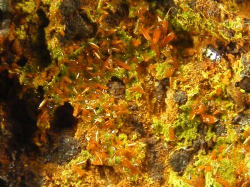 Crocoite With Pyromorphite