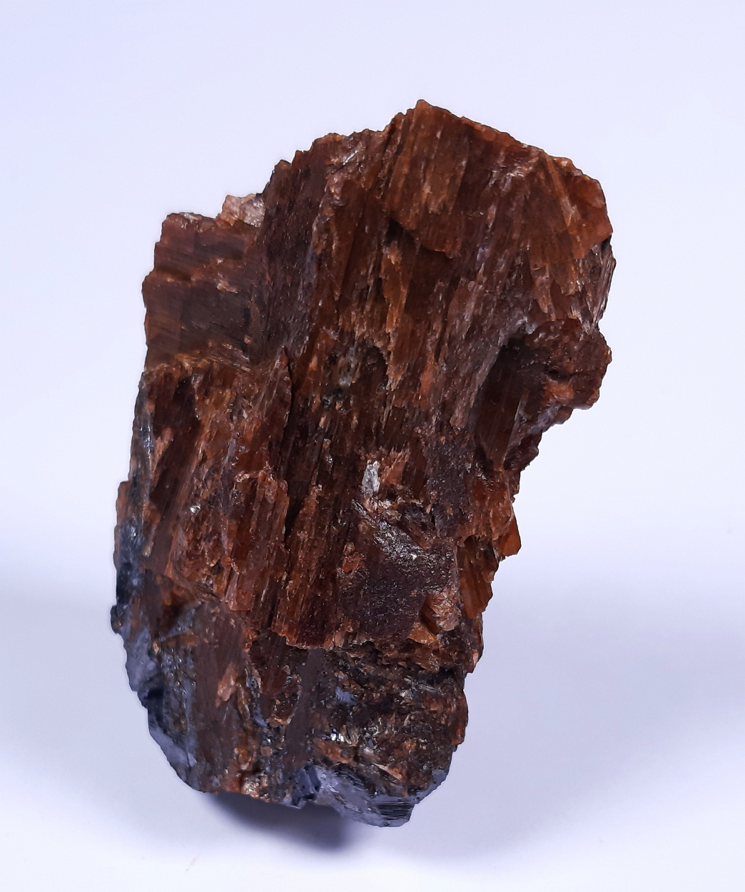 Bustamite & Galena