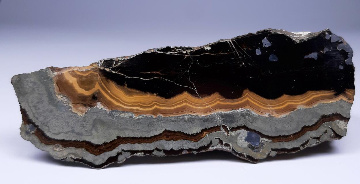 Schalenblende