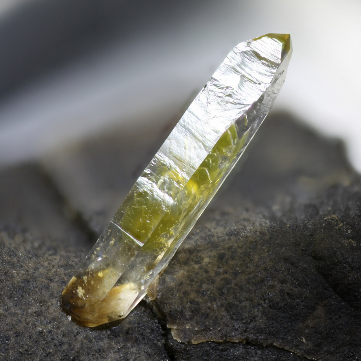 Quartz With Hydrocarbon