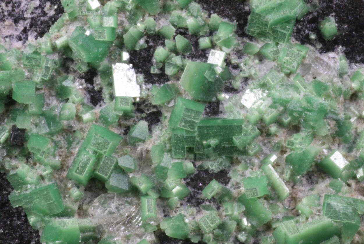 Torbernite
