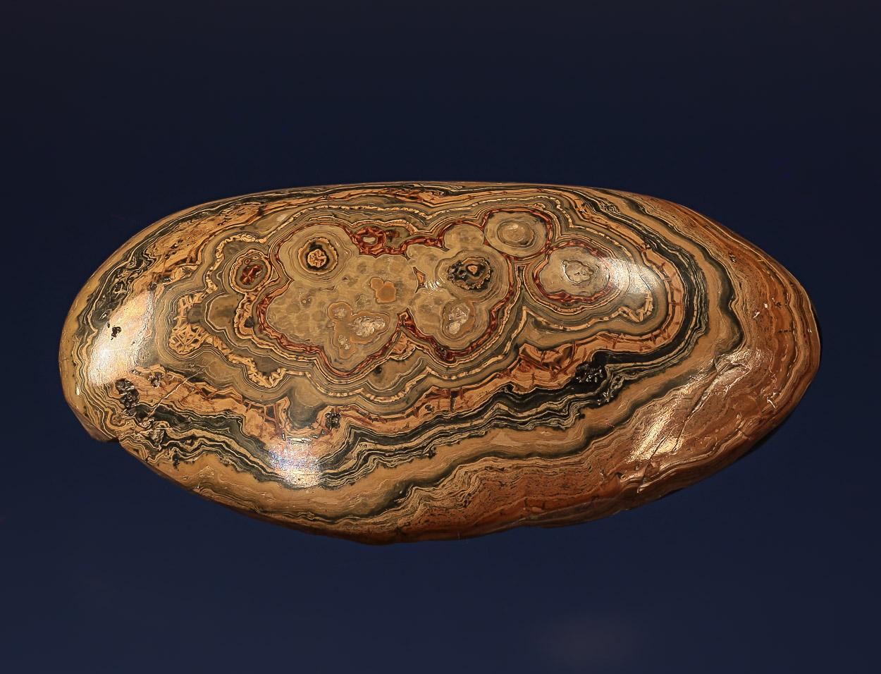 Wurtzite Var Schalenblende
