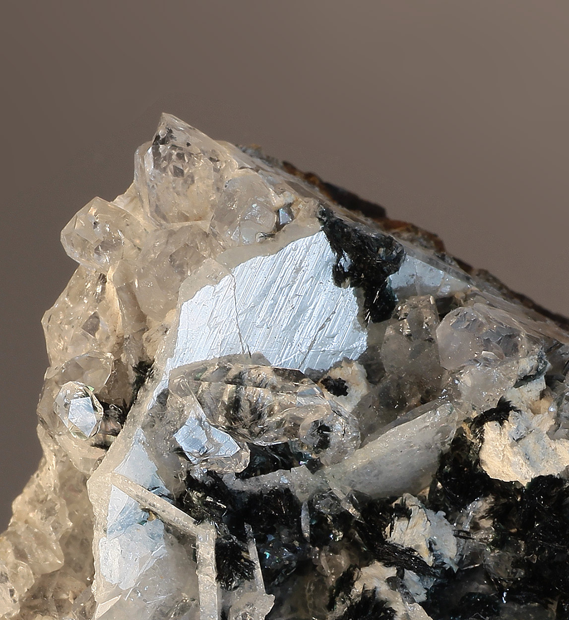 Whitlockite