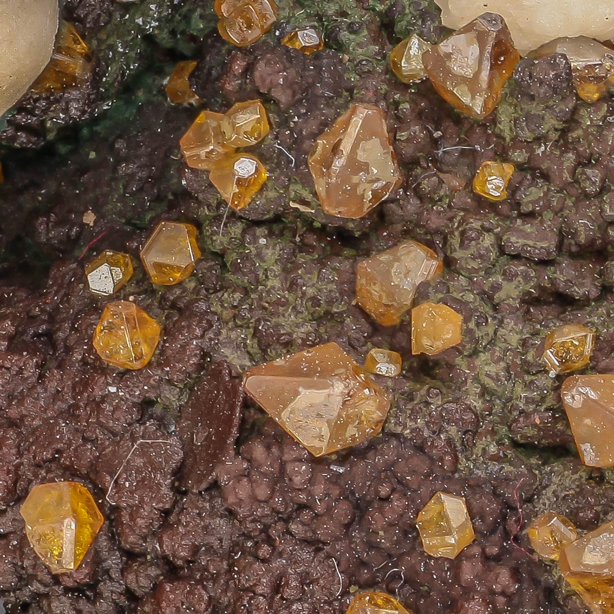 Chrysocolla & Wulfenite