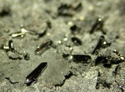 Native Selenium