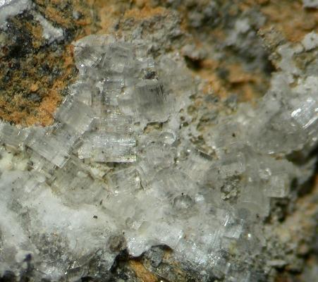 Brandholzite