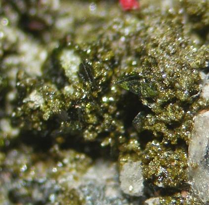 Fornacite