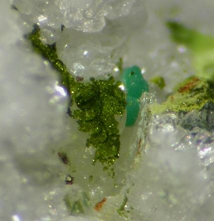 Mcalpineite & Xocomecatlite