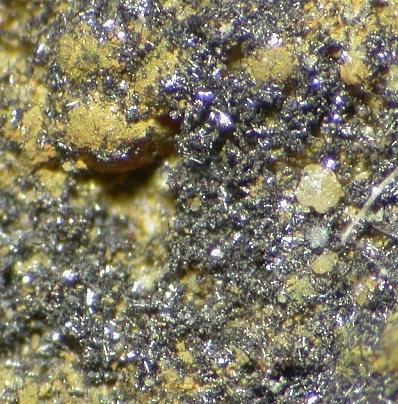 Native Selenium