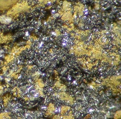 Native Selenium