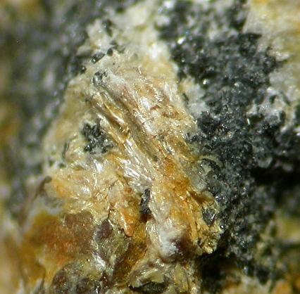 Rankamaite