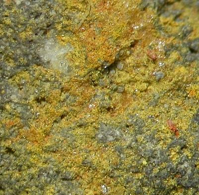 Alacránite & Uzonite