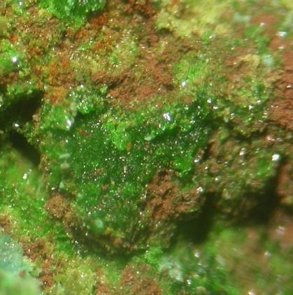 Avdoninite