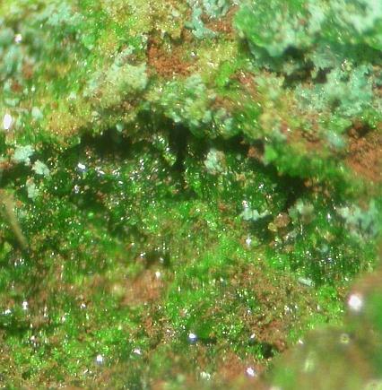 Avdoninite