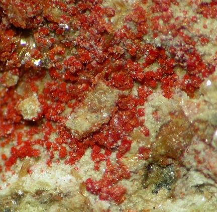 Umohoite