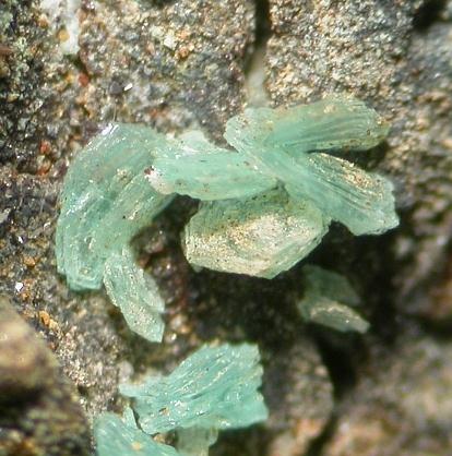 Gordaite Var Unnamed