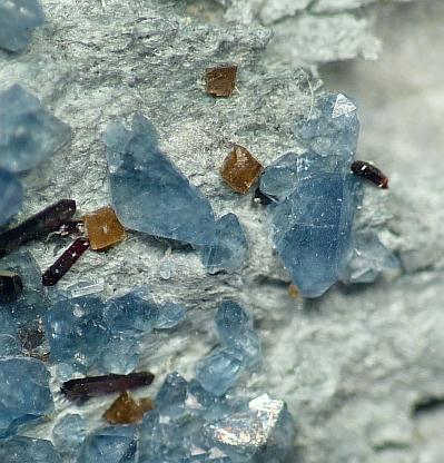 Benitoite & Joaquinite Ce