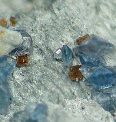 Benitoite & Joaquinite Ce