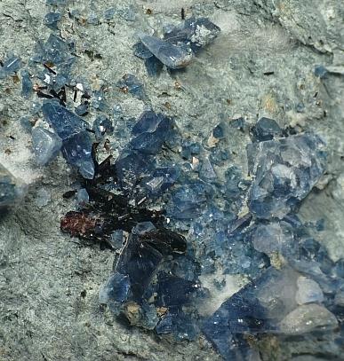 Benitoite & Joaquinite Ce