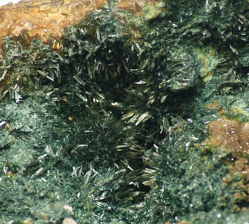 Gormanite
